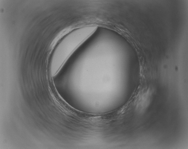 X0000052940054200507081154