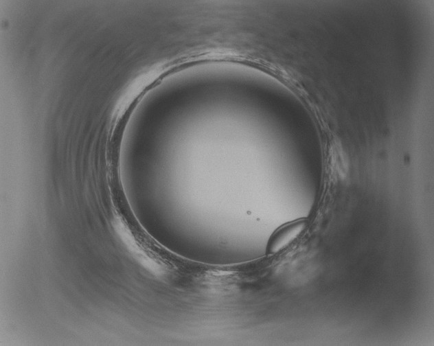 X0000052940055200507081154