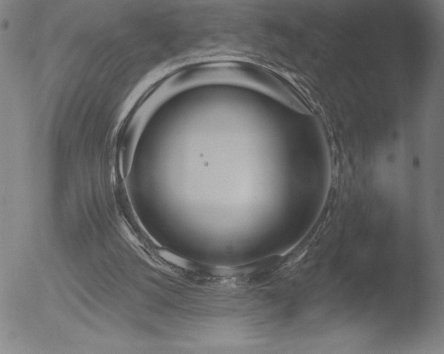 X0000052940056200507081154