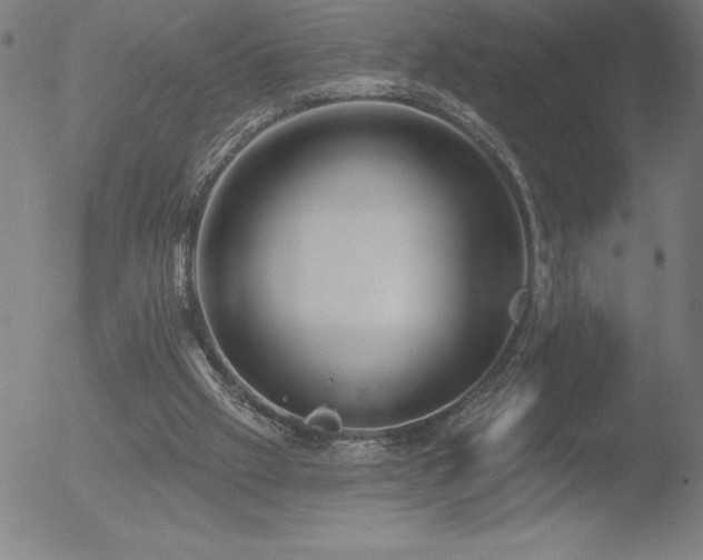 X0000052940057200507081154