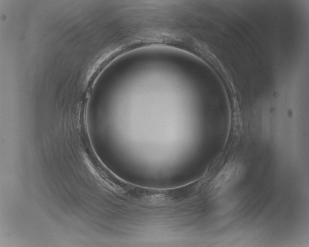 X0000052940058200507081154