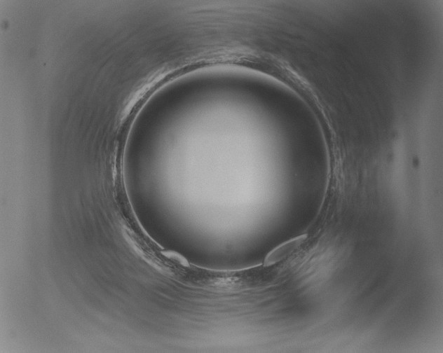 X0000052940059200507081154