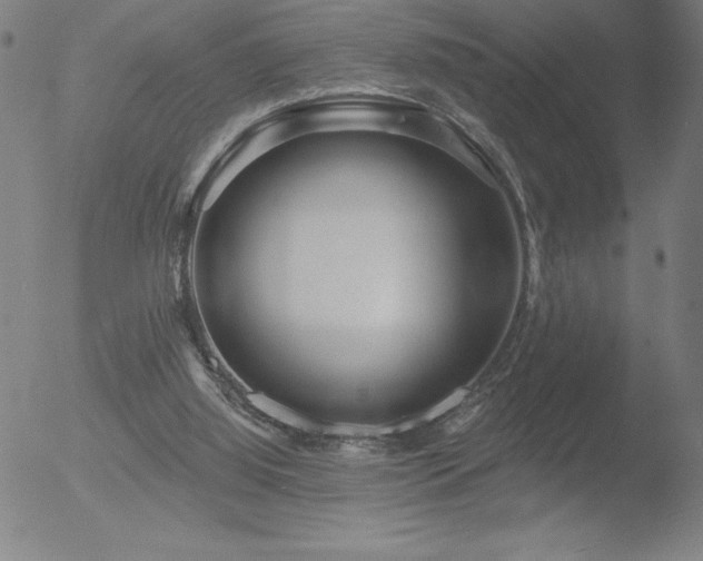 X0000052940060200507081154