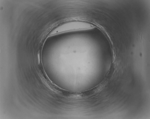 X0000052940061200507081154