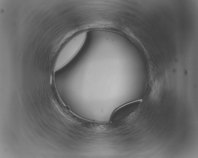 X0000052940062200507081154