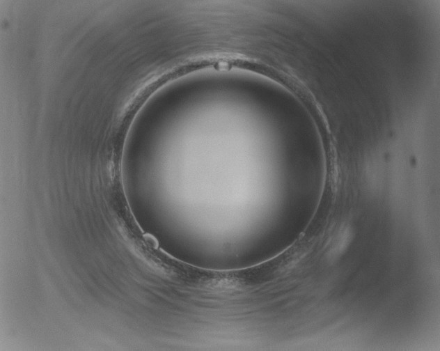 X0000052940063200507081154