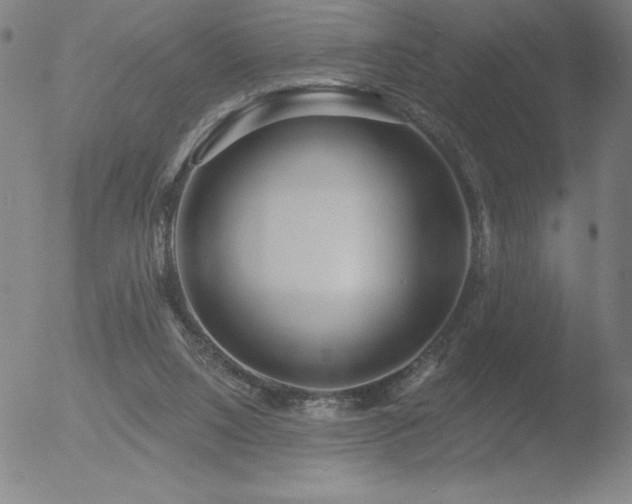 X0000052940064200507081154