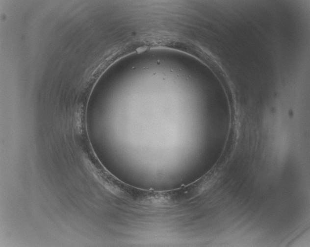 X0000052940065200507081154