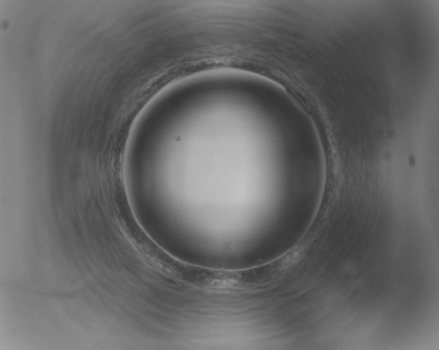 X0000052940066200507081155