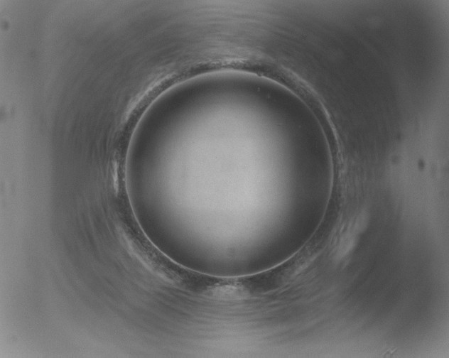 X0000052940067200507081155