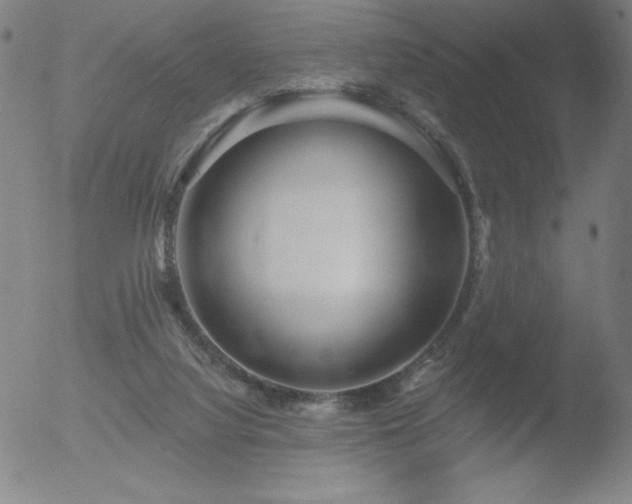 X0000052940068200507081155