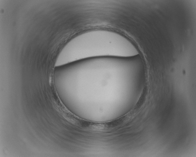 X0000052940069200507081155