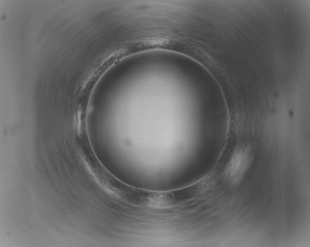 X0000052940070200507081155