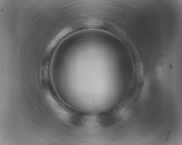 X0000052940071200507081155