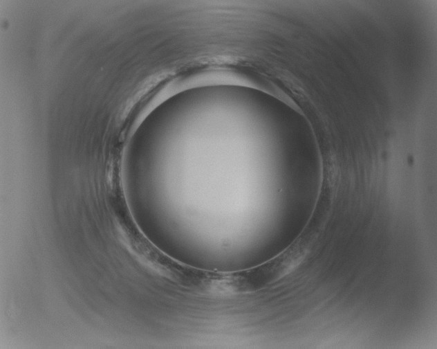 X0000052940072200507081155