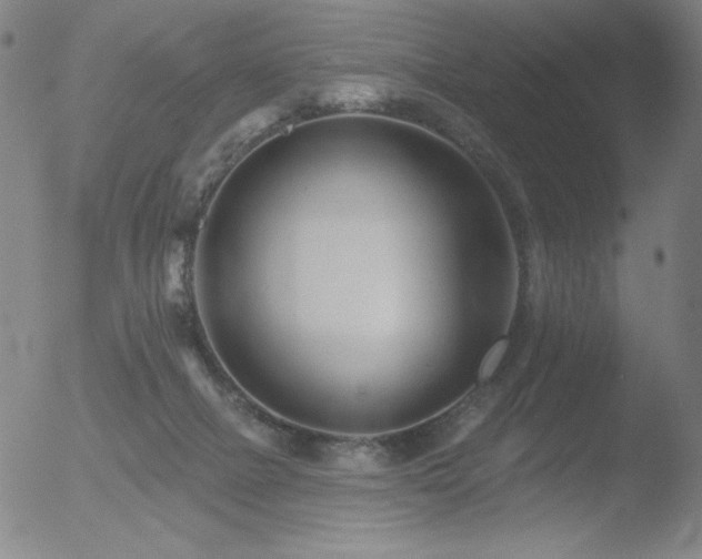 X0000052940073200507081155