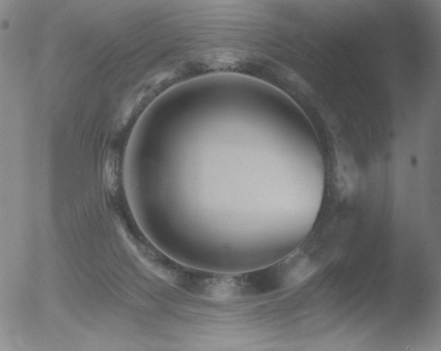 X0000052940074200507081155