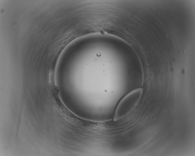 X0000052940075200507081155