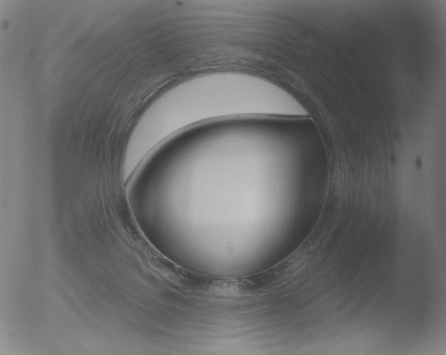 X0000052940076200507081155