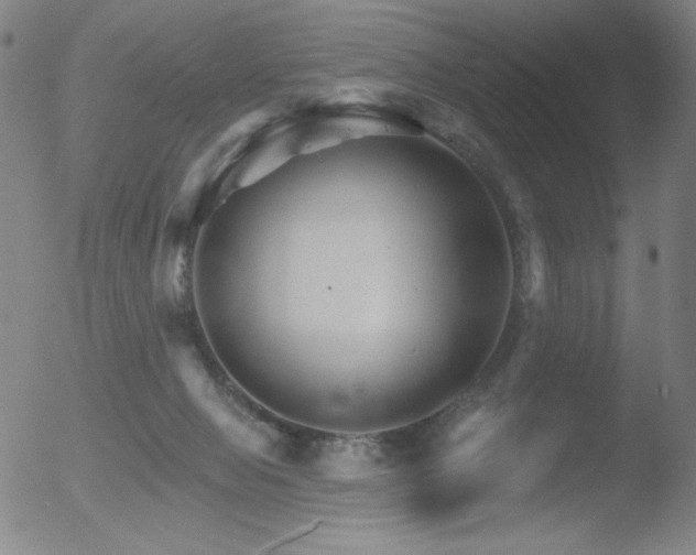 X0000052940077200507081155