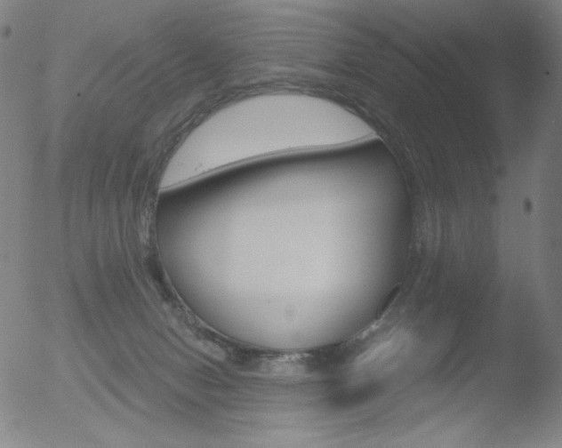 X0000052940078200507081155