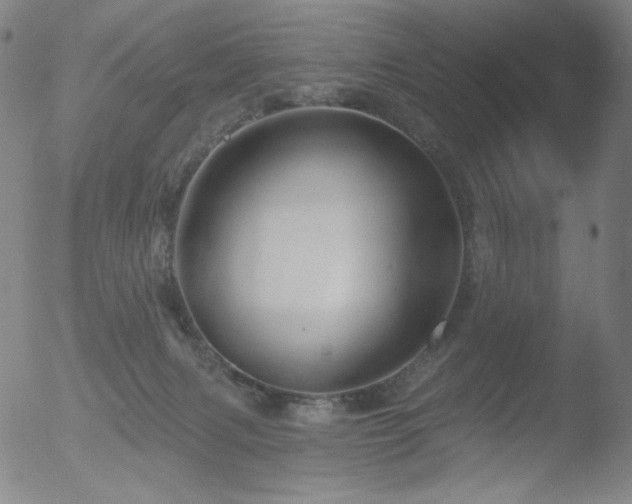 X0000052940079200507081155