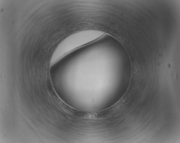 X0000052940080200507081155