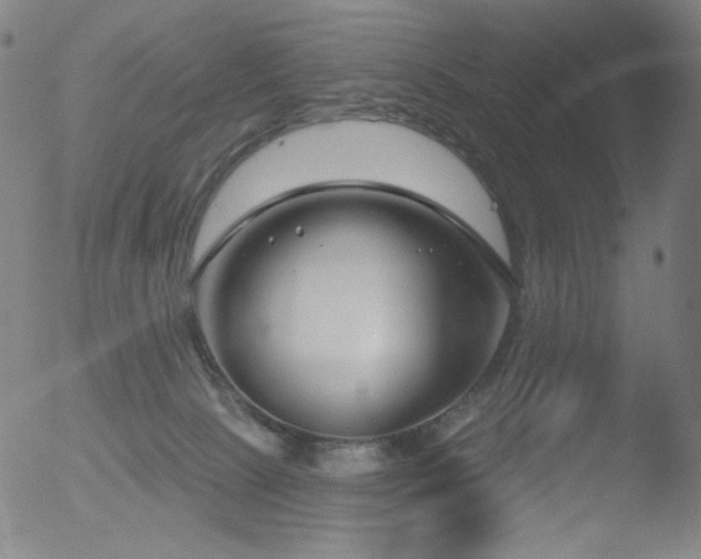 X0000052940081200507081155