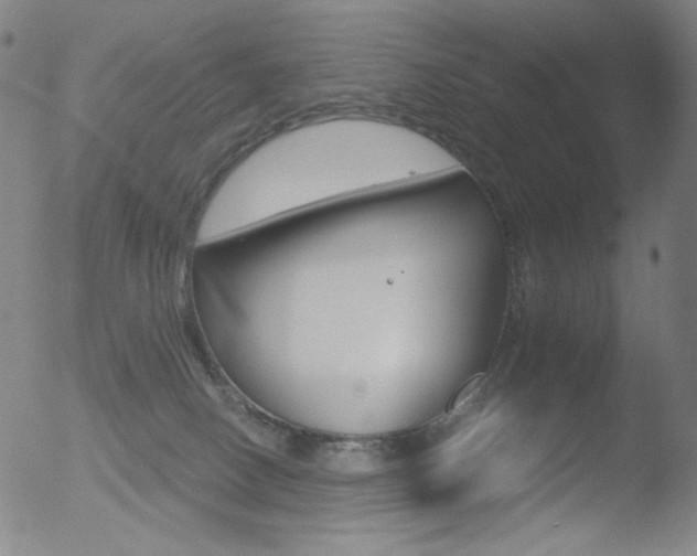 X0000052940082200507081155