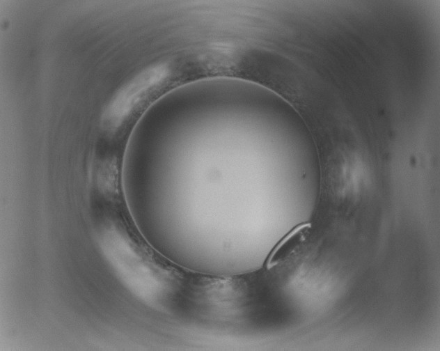 X0000052940083200507081155