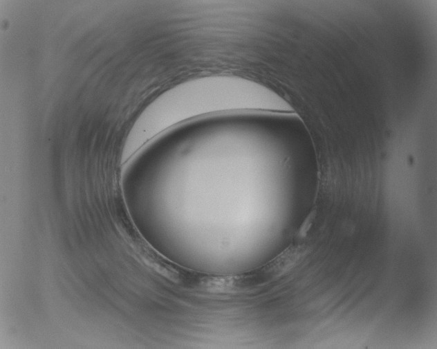 X0000052940084200507081155