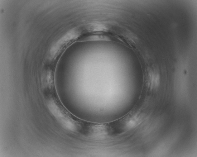 X0000052940085200507081155