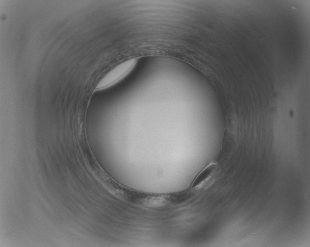 X0000052940086200507081155