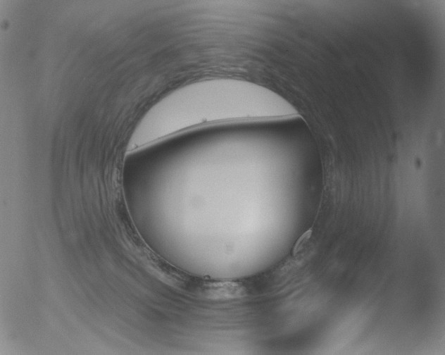 X0000052940087200507081155