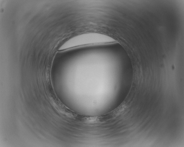 X0000052940088200507081155