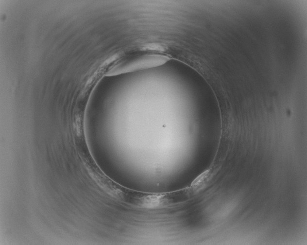 X0000052940090200507081155