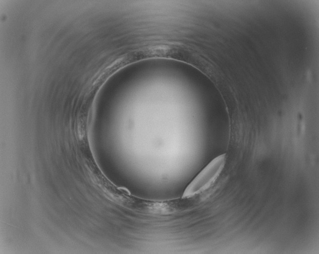 X0000052940091200507081155