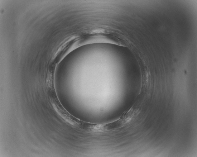 X0000052940092200507081155