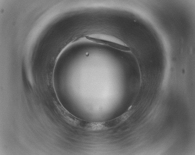 X0000052940093200507081155