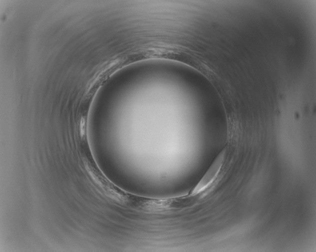 X0000052940094200507081155