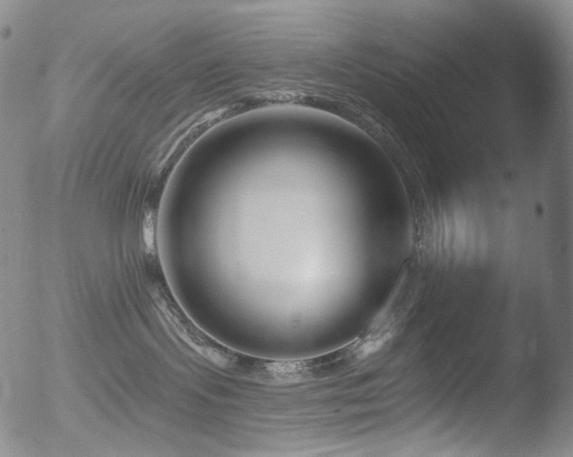 X0000052940095200507081155