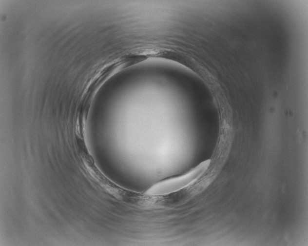 X0000052940096200507081155