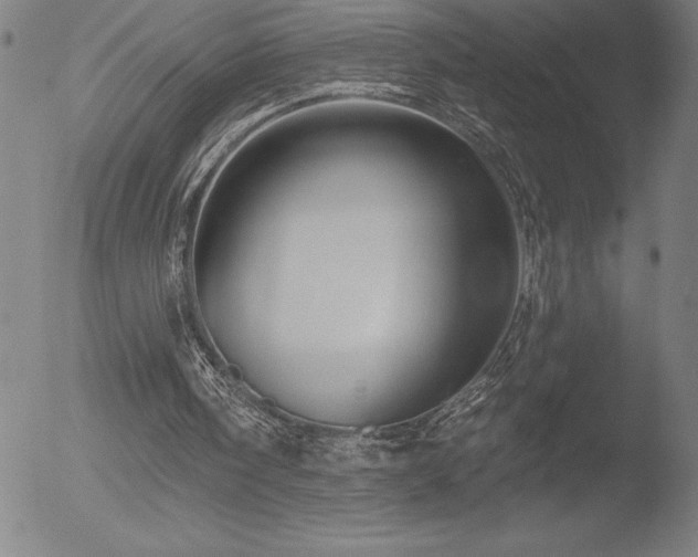 X0000052940098200507081154