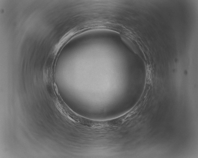 X0000052940099200507081154