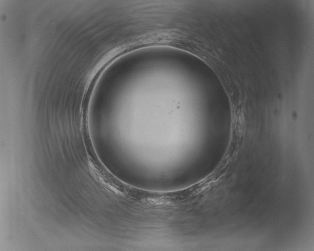 X0000052940100200507081154