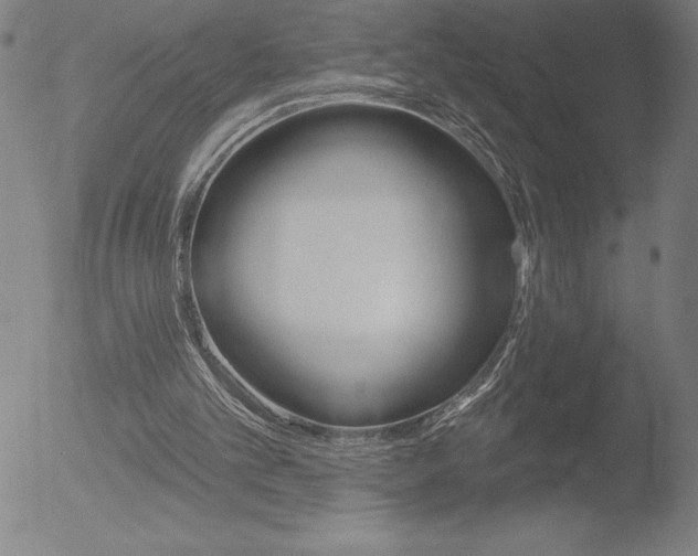 X0000052940101200507081154