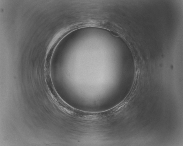 X0000052940102200507081154