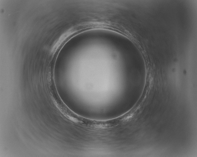 X0000052940103200507081154