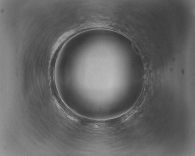 X0000052940104200507081154