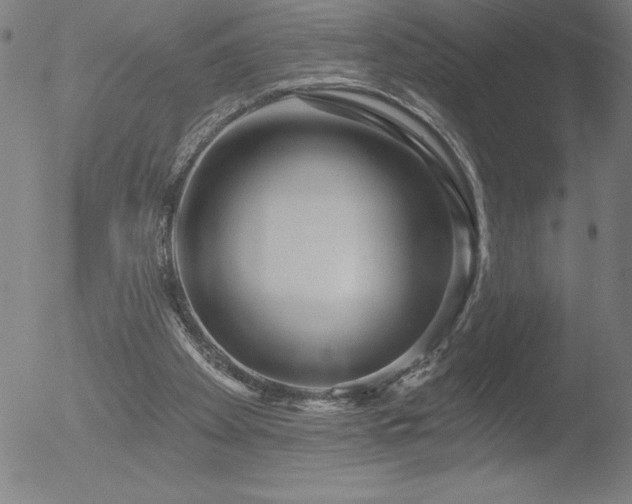 X0000052940105200507081154